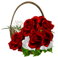 a basket with red roses 